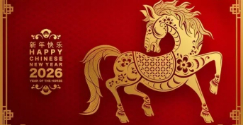Happy  Chinese New Year!